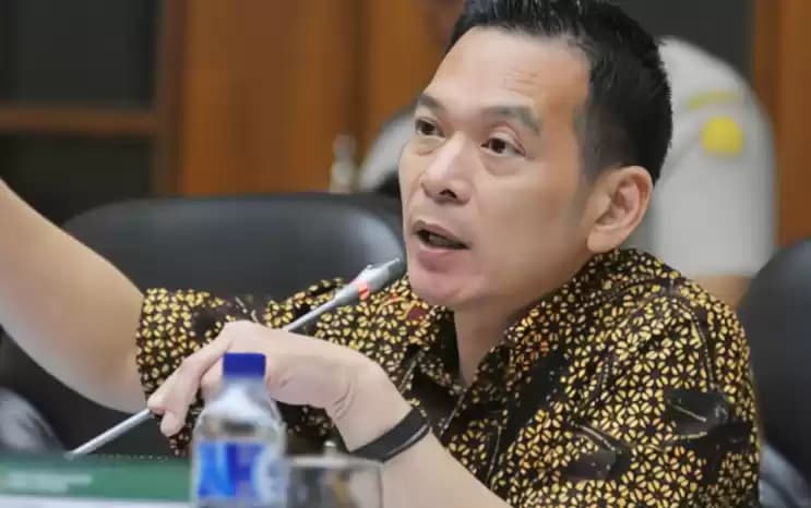 Anggota DPR Daniel Johan