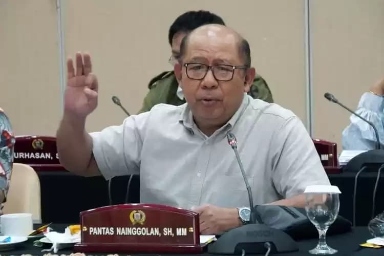 Anggota Komisi D DPRD DKI Jakarta, Pantas Nainggolan, saat menghadiri pembahasan Rancangan Peraturan Daerah (Raperda) tentang APBD DKI Jakarta Tahun 2024 di Grand Cempaka, Jakarta Pusat.