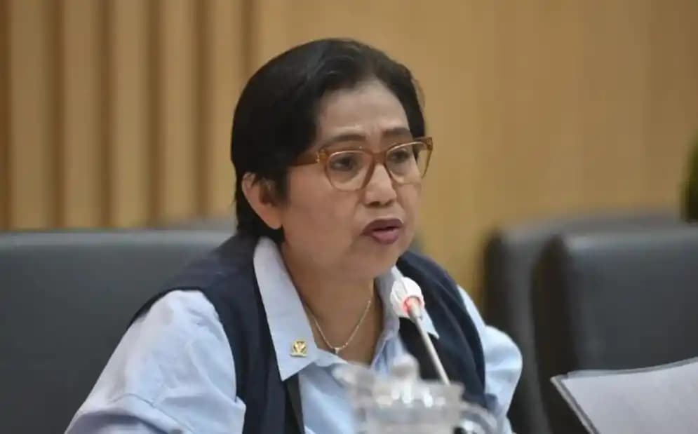 Anggota Komisi IX DPR dari Fraksi NasDem, Irma Suryani