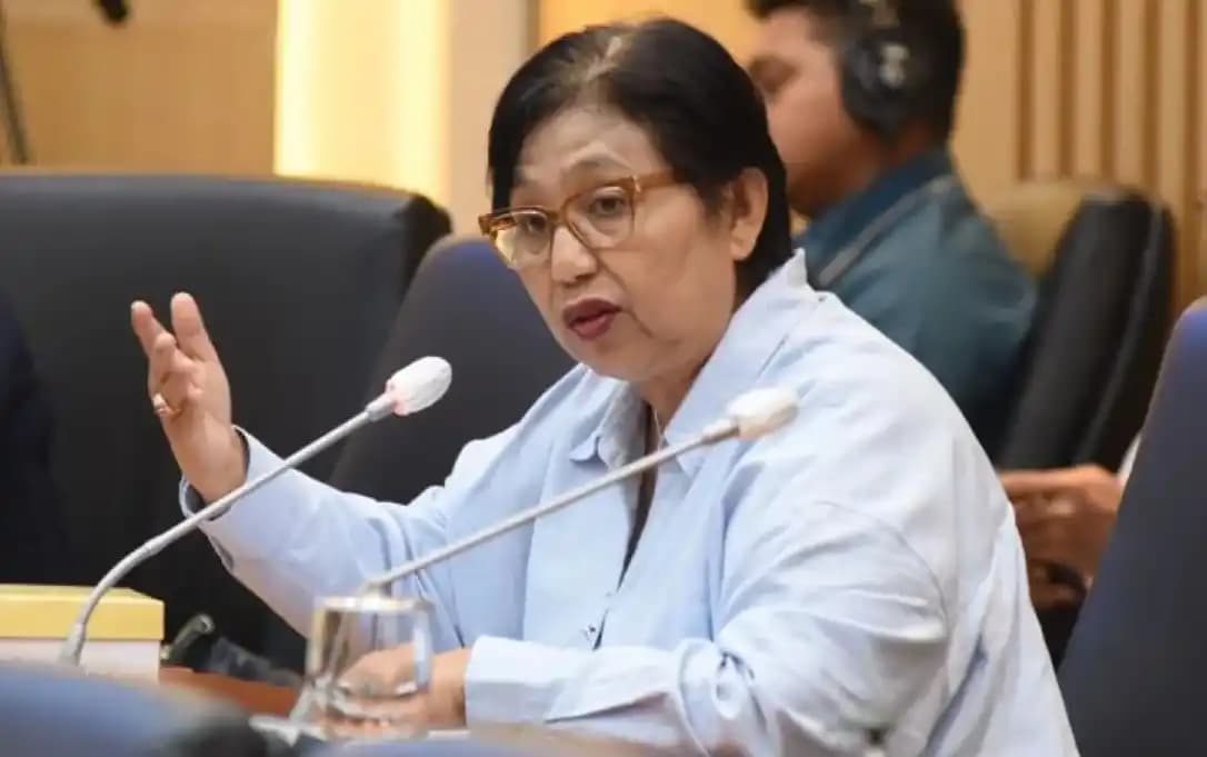Anggota Komisi IX DPR, Irma Suryani