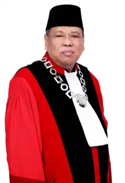 Dari Palu ke Mimbar: Arief Hidayat Gugat “Negara UU” yang Kian Gemuk