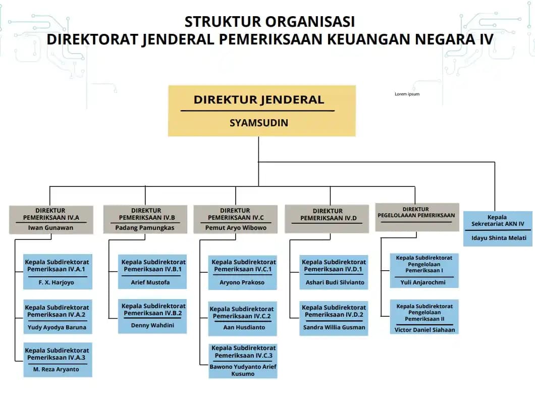 Auditor BPK RI Syamsudin
