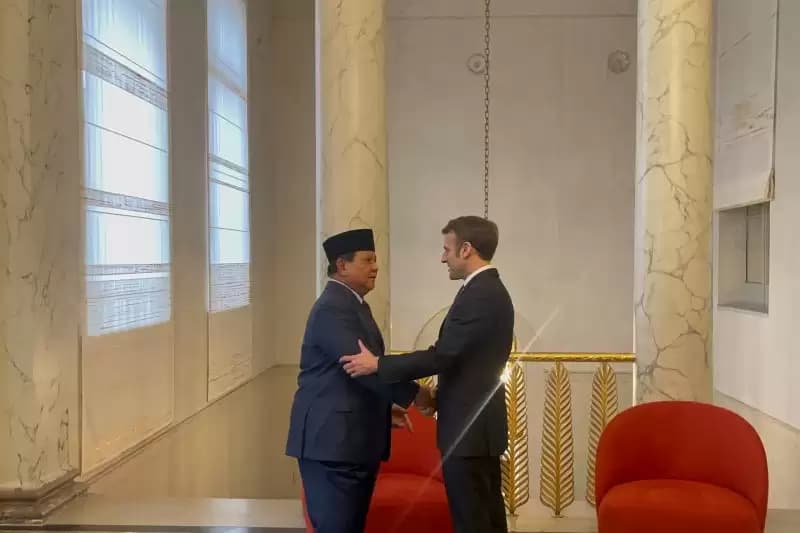 Terima Ucapan Selamat, Prabowo-Macron Ngobrol dalam Bahasa Prancis