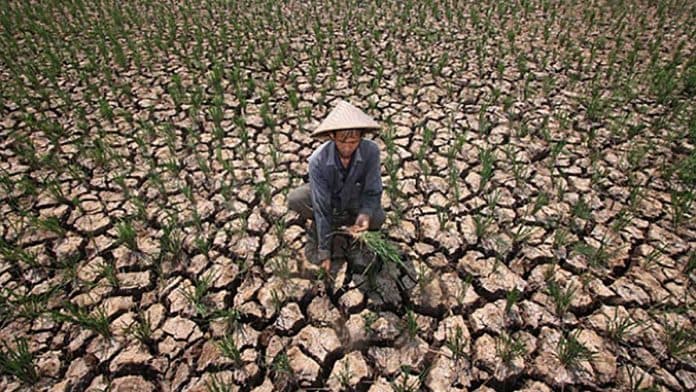 Awas! Ada Tanda-Tanda Gorila El Nino di Indonesia