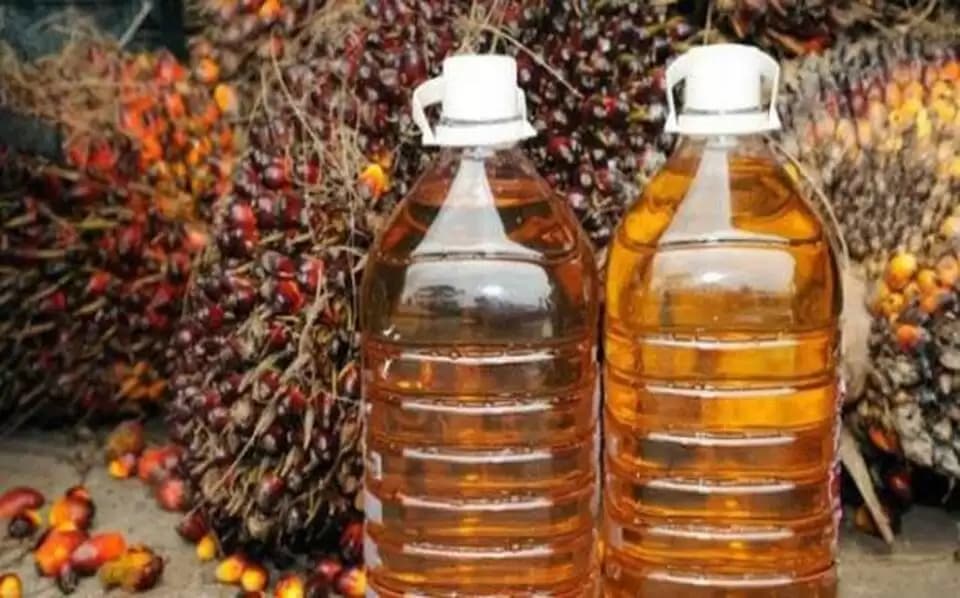 Komoditas Olein Pilihan Investor Jangka Panjang