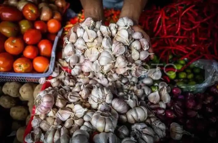 Bawang putih bonggol mengalami kenaikan harga