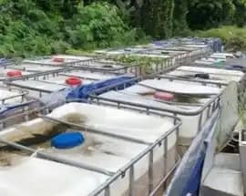 BPK Temukan BBM HVO senilai Rp 1 M pada Jakpro Tak Jelas Pemanfaatannya