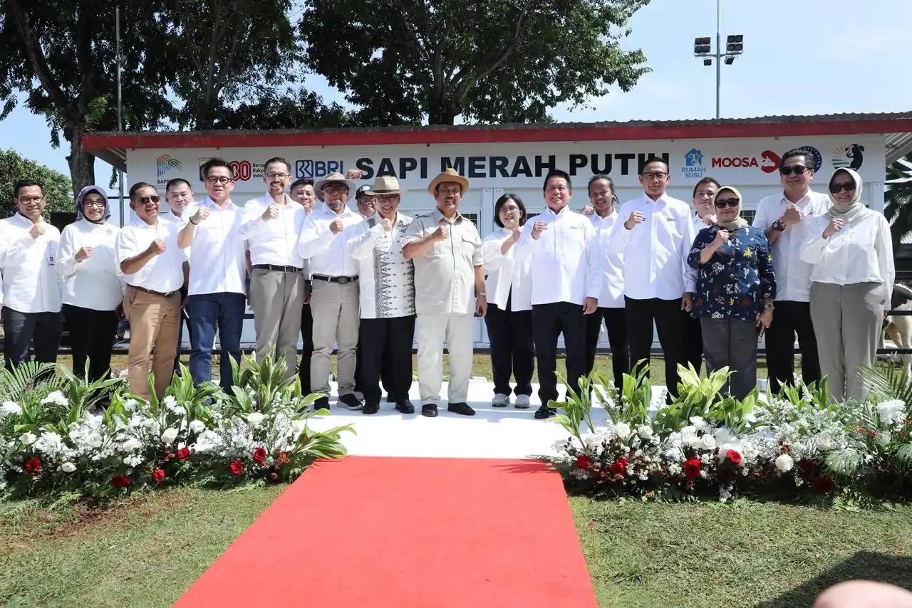 BRI-Program Sapi Merah Putih
