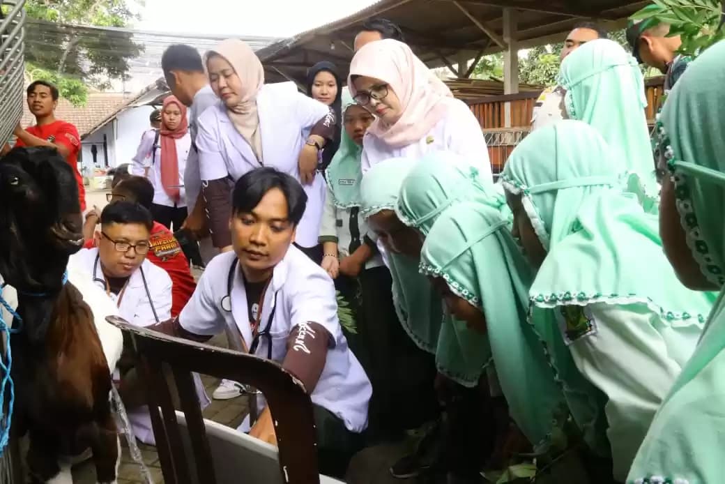 Bupati Blitar