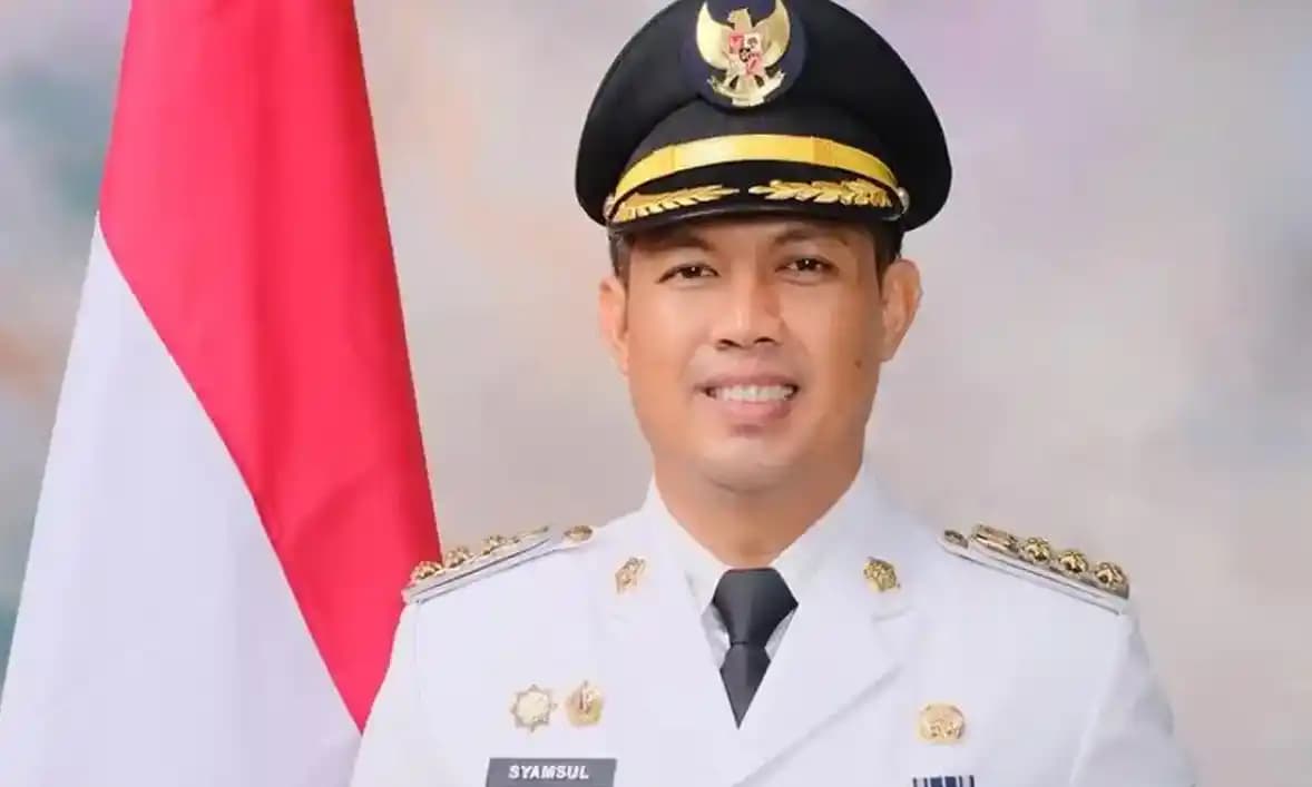 Bupati Cilacap, Syamsul Auliya Rachman