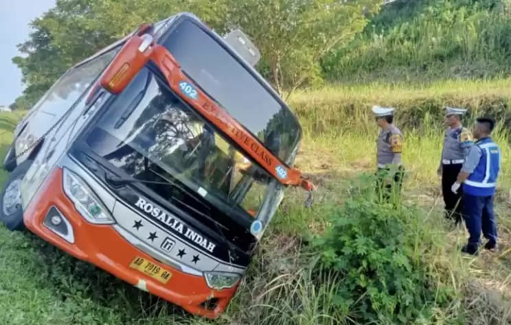bus rosalia indah