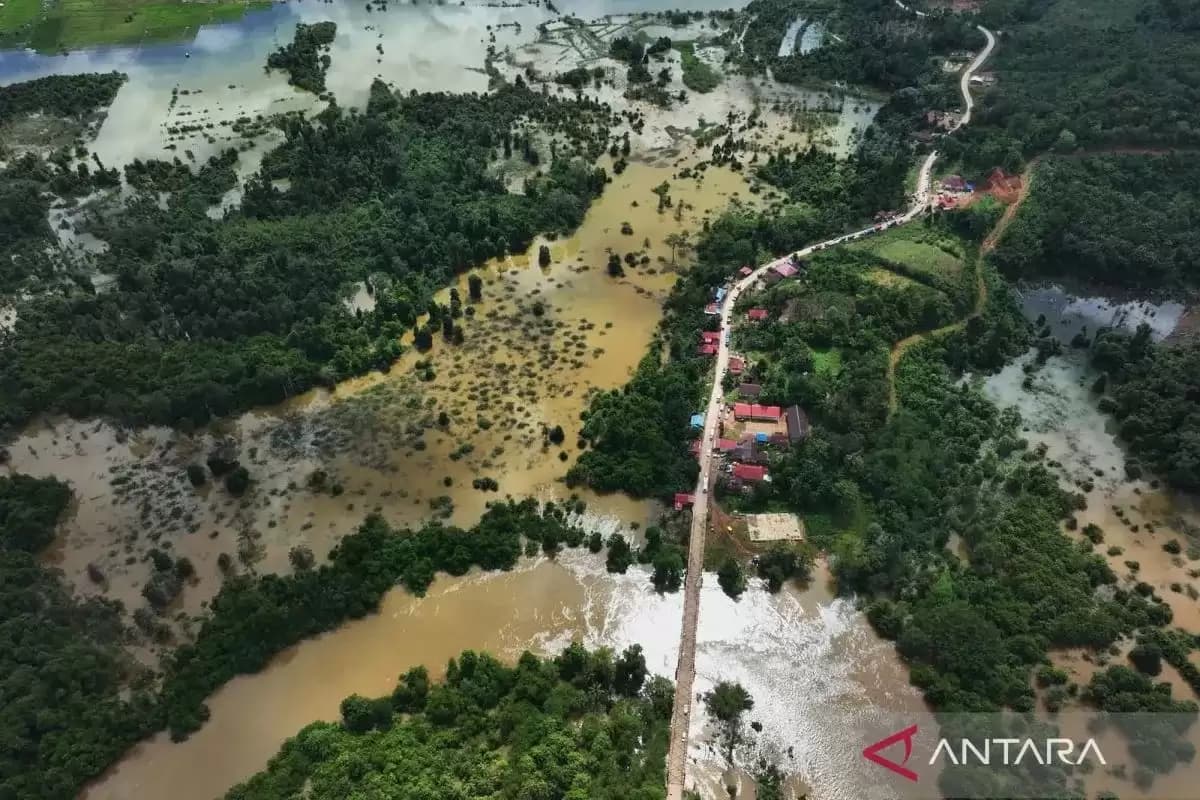 Berdasarkan data dari BPBD Konawe ada 49 Kepala Keluarga (KK) di Desa Wonua Monapa yang terdampak banjir dan mengungsi di Balai Desa Belatu.