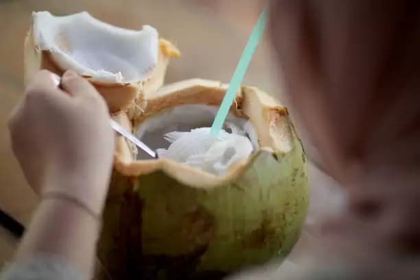 Minum Air Kelapa Muda Bisa Meningkatkan Hidrasi Tubuh