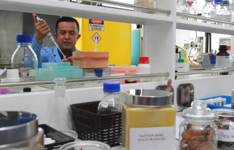 80 Persen Penduduk Dunia Gunakan Obat Herbal Tradisional