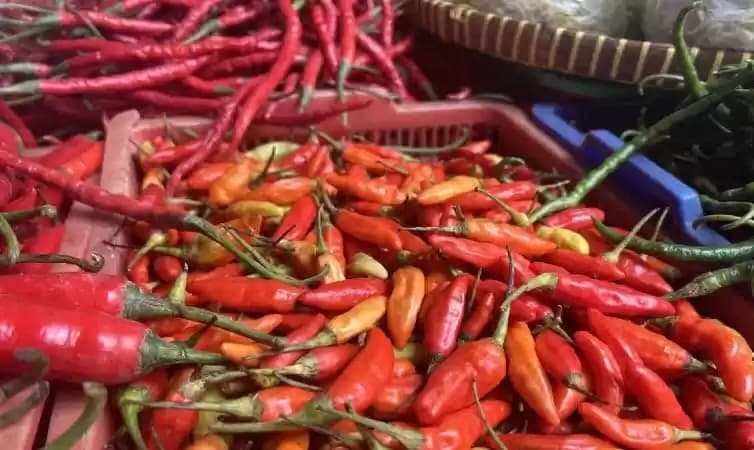 Cabai rawit merah dan cabai merah keriting yang dijual pedagang di Pasar