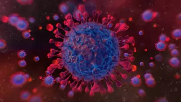 Virus Covid-19 Varian JN.1 Ditemukan di Jakarta dan Batam