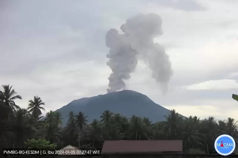 Gunung Ibu Meletus Muntahkan Abu Vulkanik Setinggi 1.000 Meter