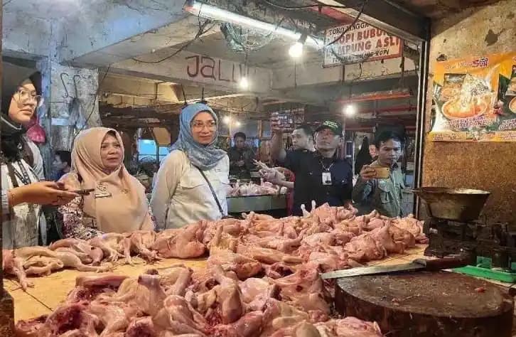 Daging ayam ras