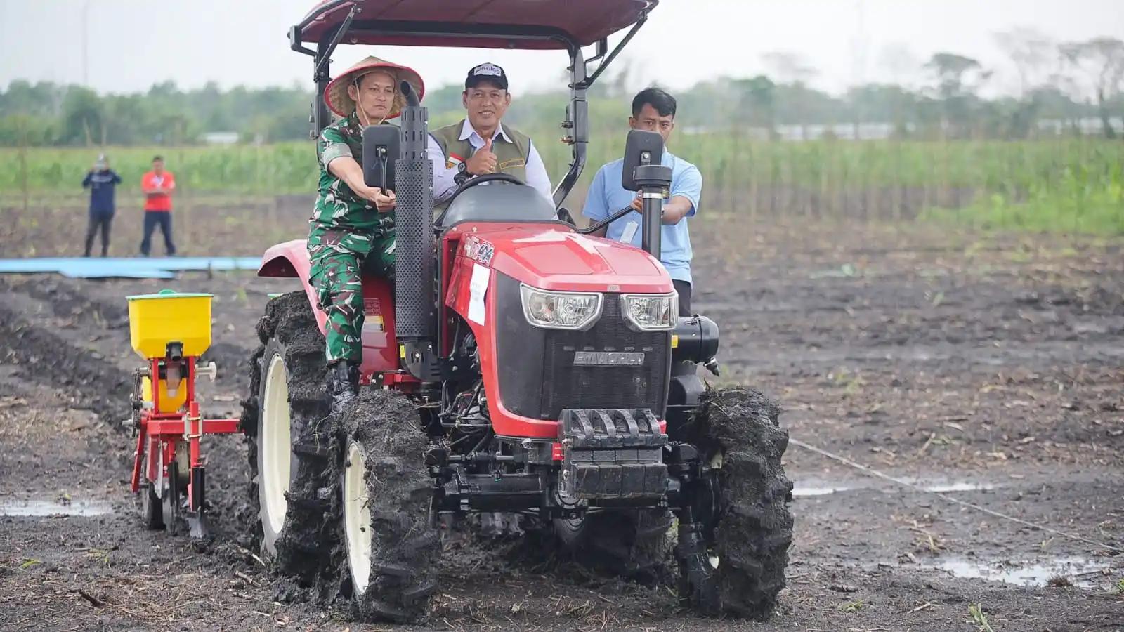 Dirut Perum BULOG, Ahmad Rizal Ramdhani menanam jagung. (Dok. MI)