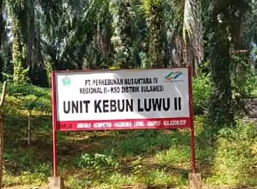 Dituding Rampas Tanah Masyarakat, Begini Kronologis Lahan PTPN IV Regional 2 Wilayah Angkona di Luwu Timur