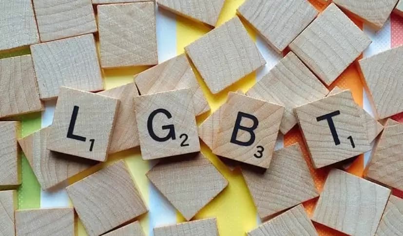 Bripda AN: Korban Kekerasan Seksual-Terseret LGBT