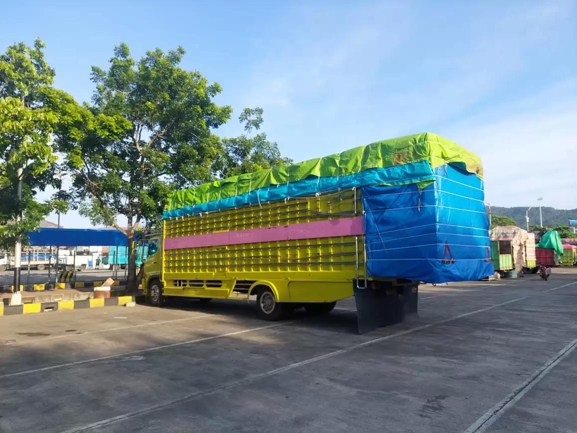 Subsidi Angkutan Barang untuk Cegah Truk Odol