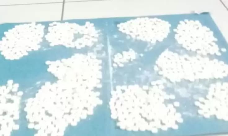 Tim Gabungan Tangkap dan Gagalkan Pengiriman 1.000 Pil Koplo di Jayapura