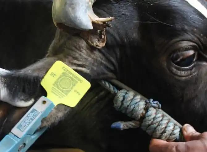 Eartag Secure QR Code