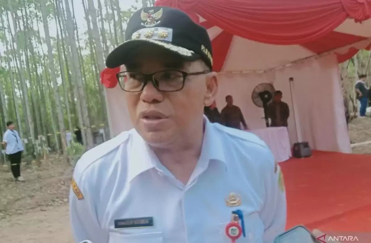 Pj Bupati Penajam-Kaltim: Pembangunan Kota Nusantara Sesuai Jadwal
