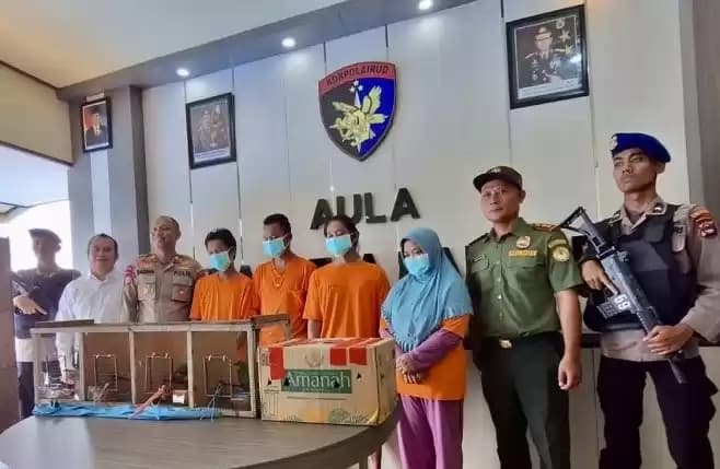 Empat Pelaku Jual Beli Satwa Dilindungi