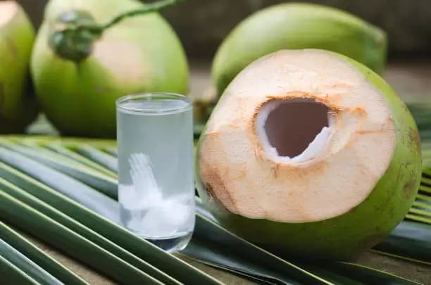 Manfaat Minum Air Kelapa Muda Bagi Kesehatan