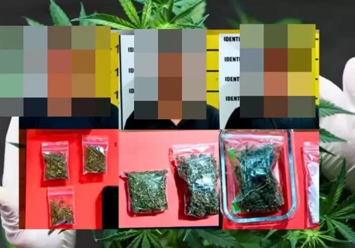 Polres Taping Ringkus Tiga Pemuda Terkait Kepemilikan Ganja