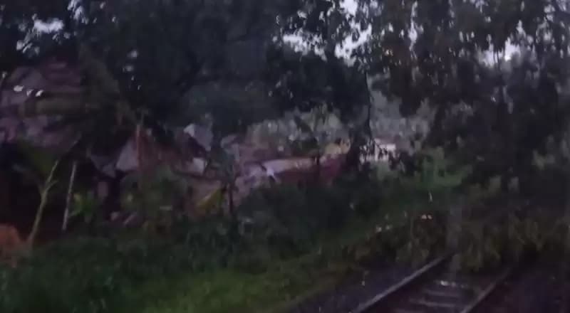 Pohon Tumbang di Kebayoran Lama, Perjalanan KRL Rangkasbitung Terhambat