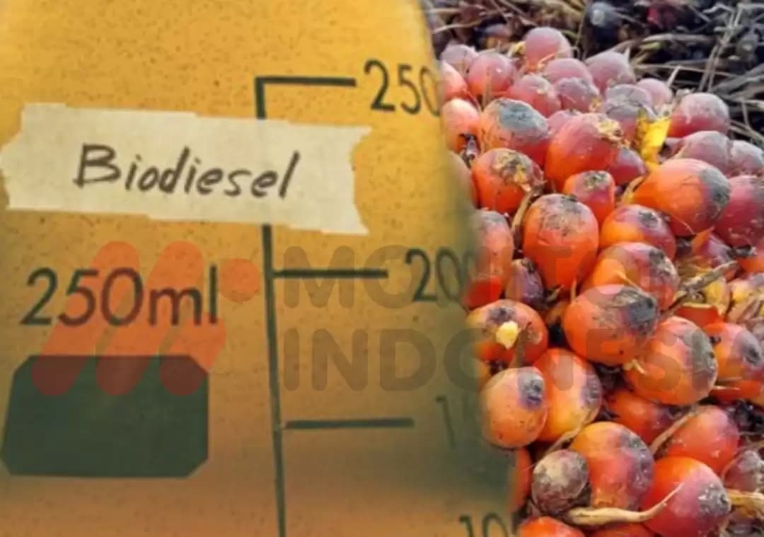 Puluhan Perusahaan Sawit Keciprat Dana Insentif Biodiesel dari BPDPKS, Pesta Bagi-bagi Jatah?