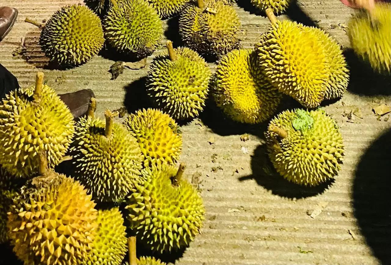 Durian Mengandung Kolesterol, Mitos atau Fakta?