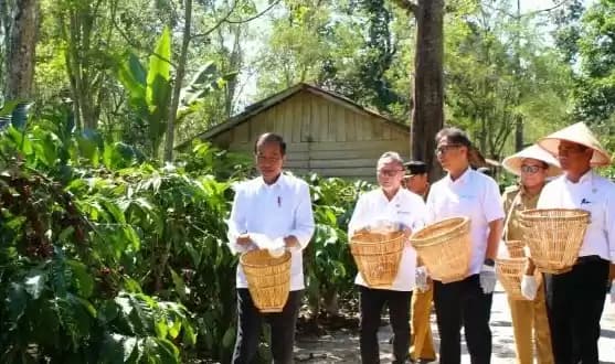 Foto Jokowi Kungker Ke Lambar