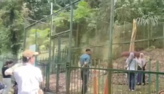 Foto Pengunjung Kebun Raya Cibodas