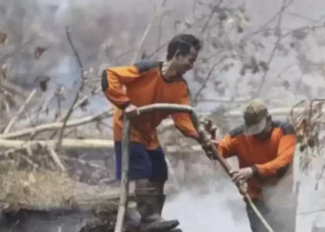 Foto Petugas Karhutla Padamkan Api