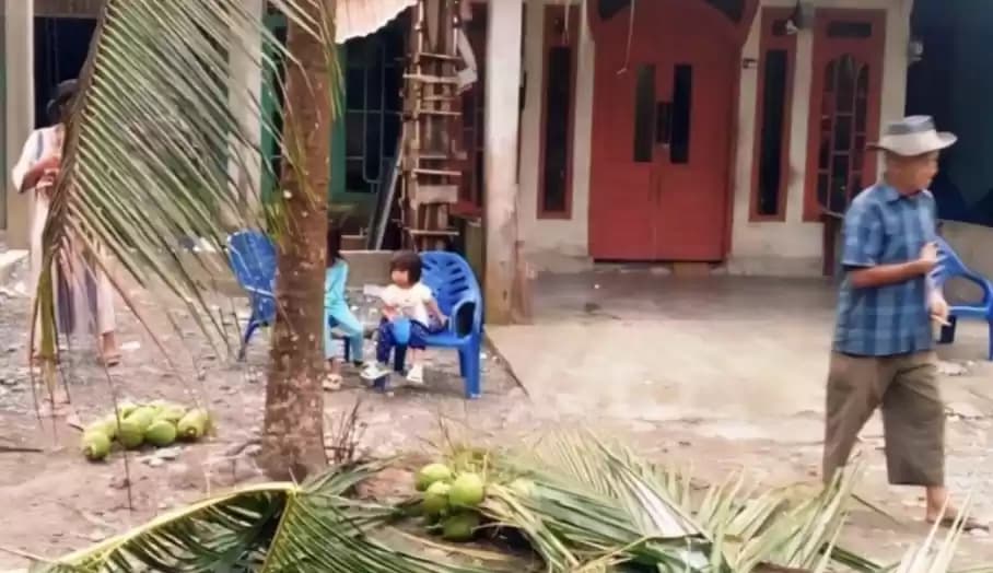 Foto warga dekat pohon kelapa jadi sasaran gajah liar