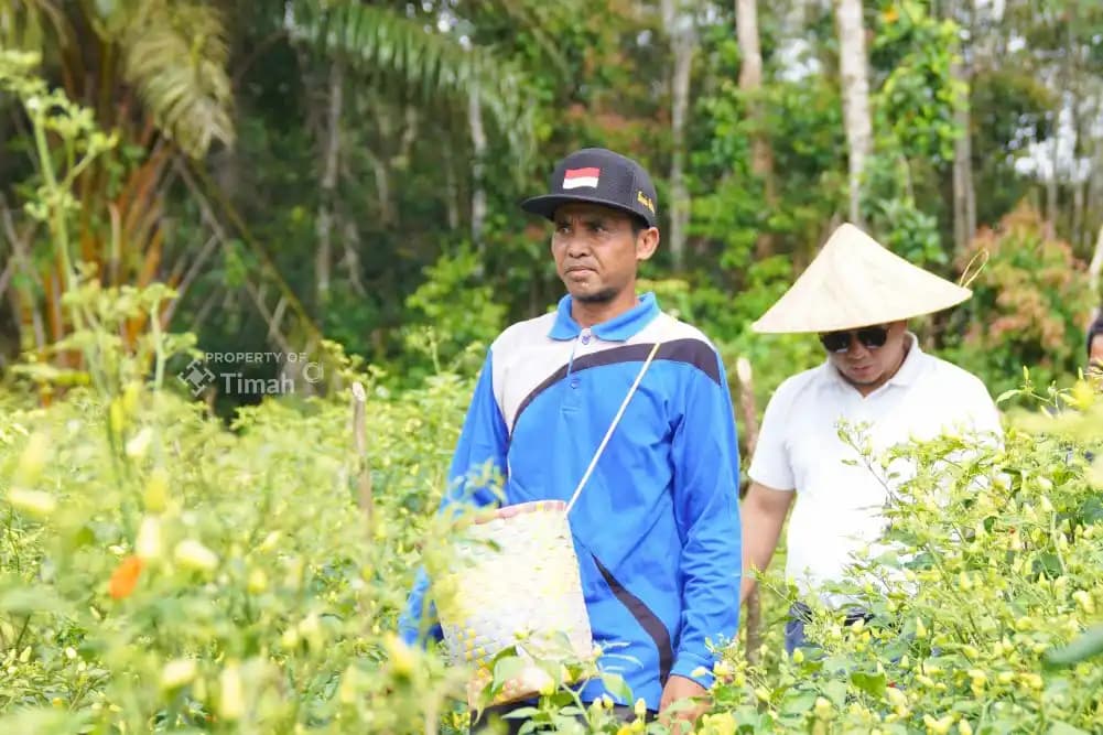 Gapoktan-PT Timah