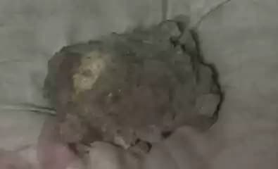 granat