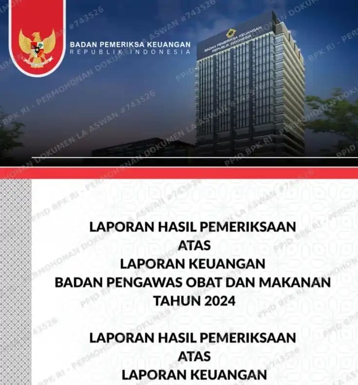 Hasil Pemeriksaan atas Laporan Keuangan Badan Pengawas Obat dan Makanan (BPOM) Tahun 2024