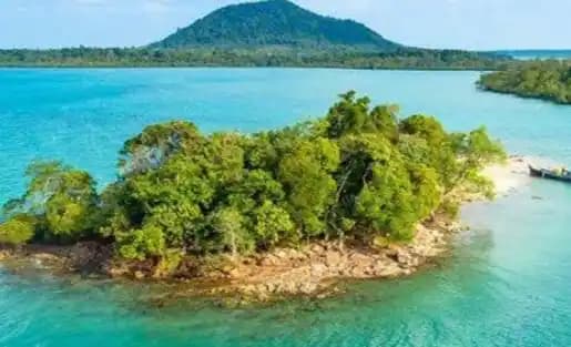 Illustrasi Pulau