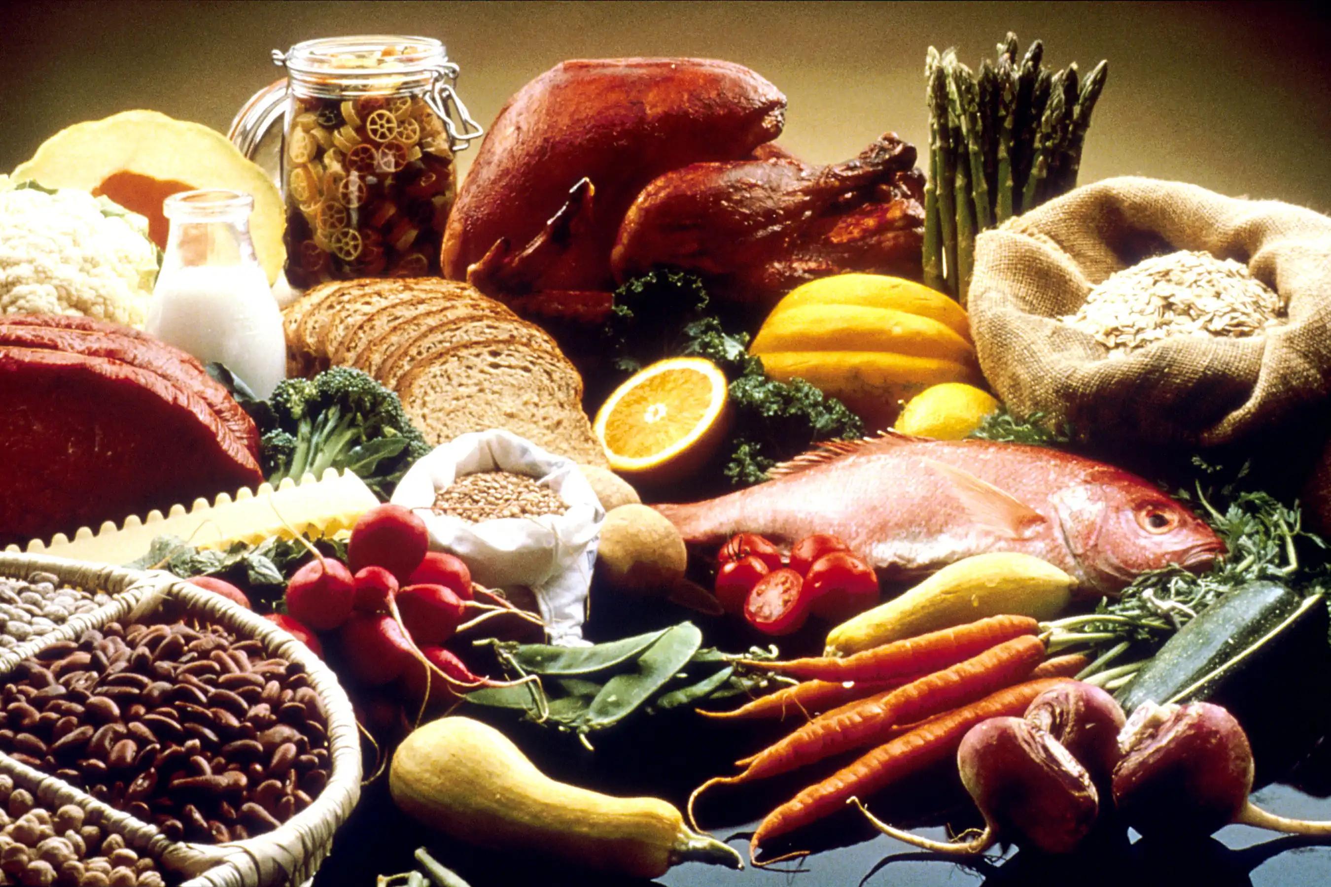 Ilustrasi Nutrisi