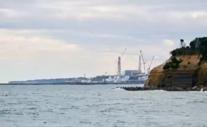 Jepang Bakal Dukung Industri Perikanan, Larangan Impor China, Industri Perikanan