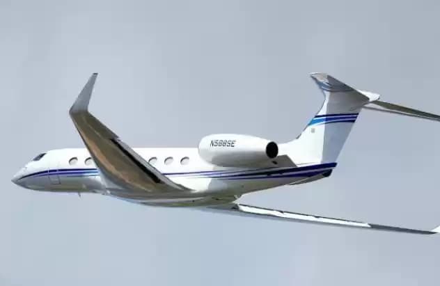 Jet Pribadi Kaesang Dan Erina