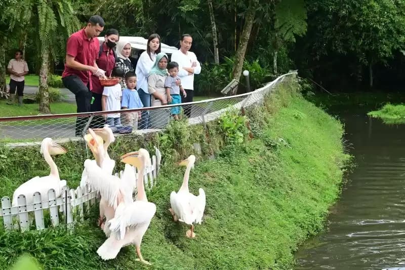 jokowi ajak cucu wisata