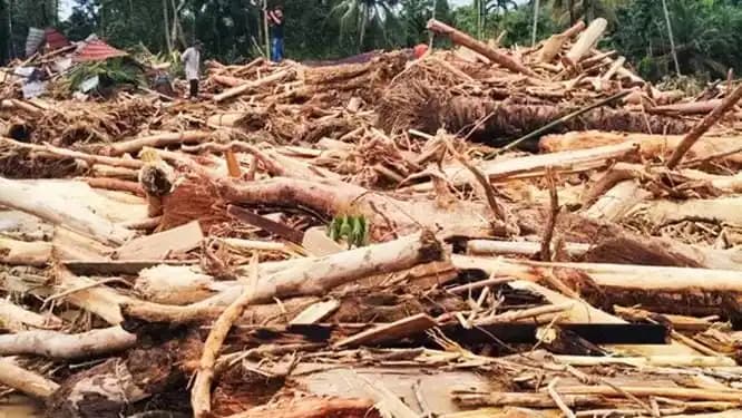 Kayu Gelondongan Terbawa Arus Sungai di Banjir Tapanuli Tengah