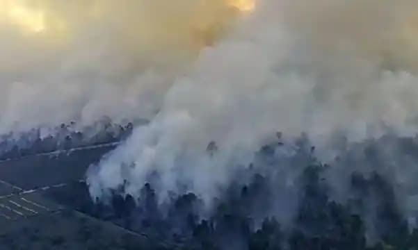 Riau Siaga Darurat Karhutla, BNPB Catat 2.713 Hektare Lahan Terbakar