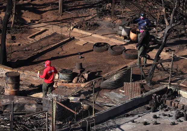 Korban Tewas Kebakaran Hutan di Hawaii Bertambah Jadi 67 Orang